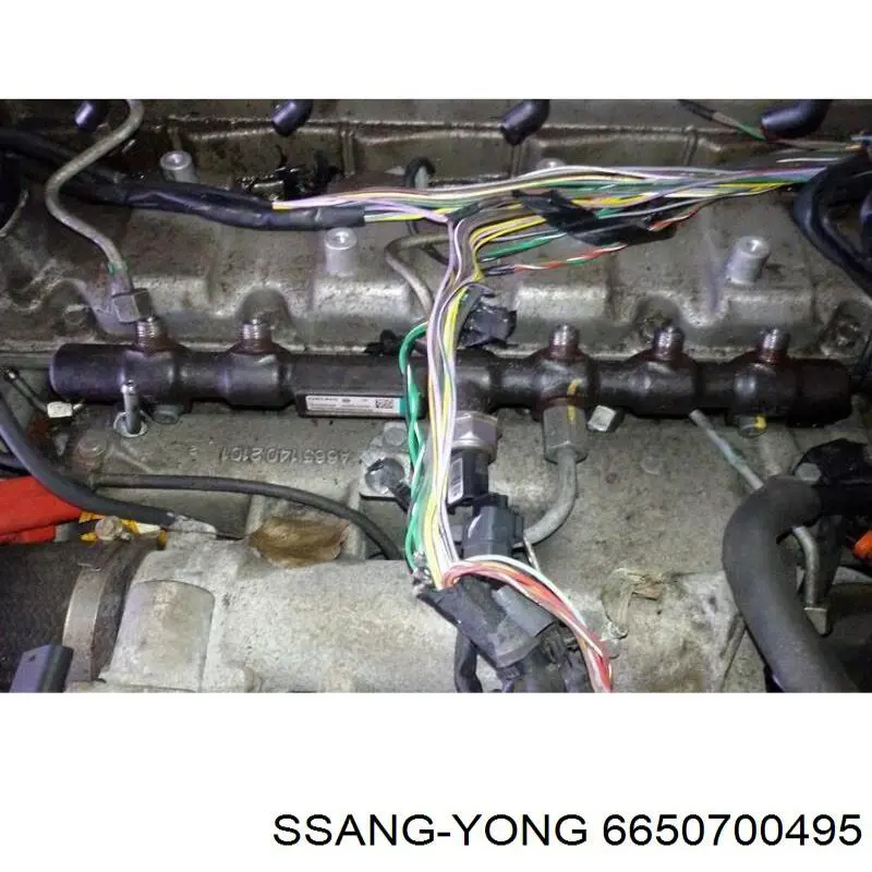 Rampa de combustible Ssang Yong 6650700495 precio, desde 897,38 EUR