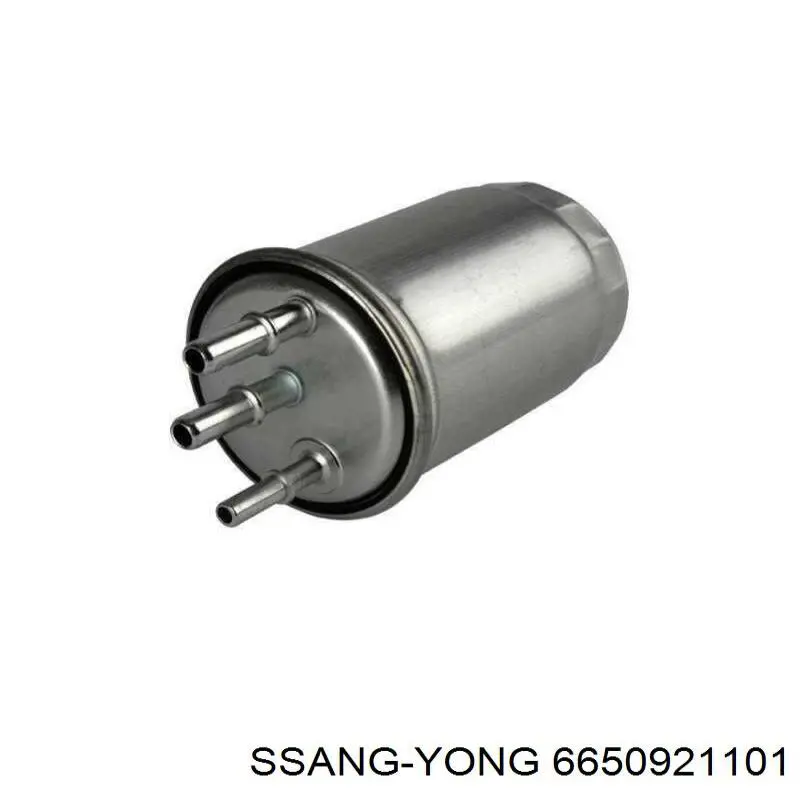 Filtro combustible Jaguar X-type CF1