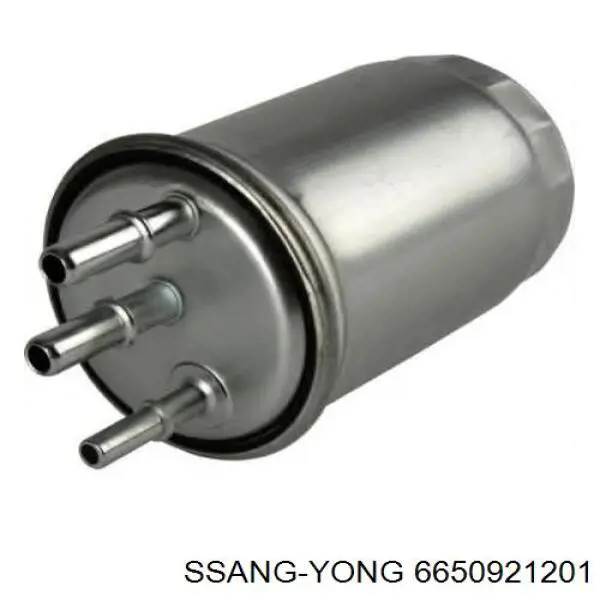 Filtro combustible Ssang Yong 6650921201 precio, desde 22,07 EUR