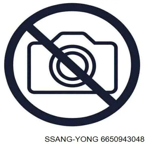 Sensor MAF Ssang Yong 6650943048