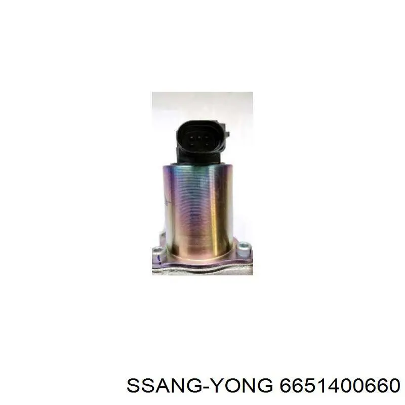 6651400660 Ssang Yong egr