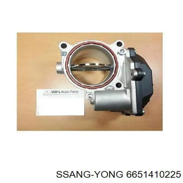 Cuerpo de aceleración completo Ssang Yong 6651410225 precio, desde 66,79 EUR