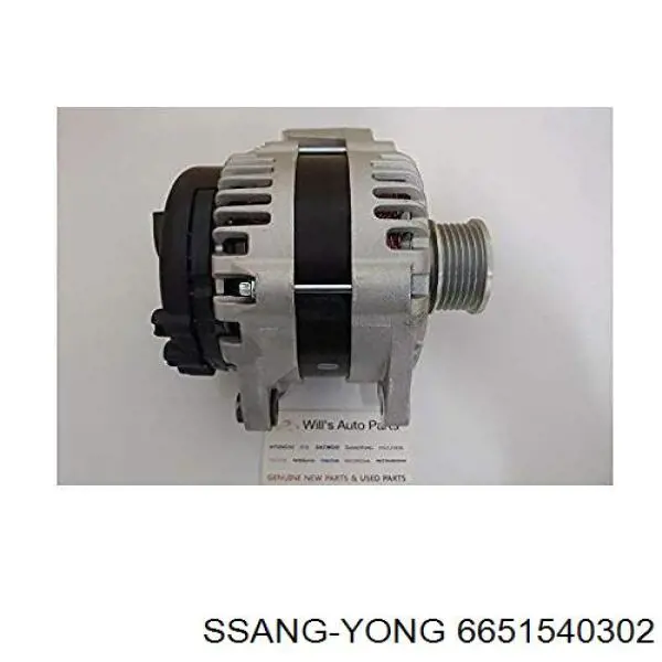 Alternador del motor Ssang Yong 6651540302 precio, desde 71,47 EUR