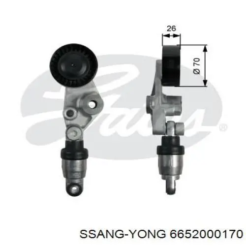 6652000170 Ssang Yong tensor de correa, correa poli v