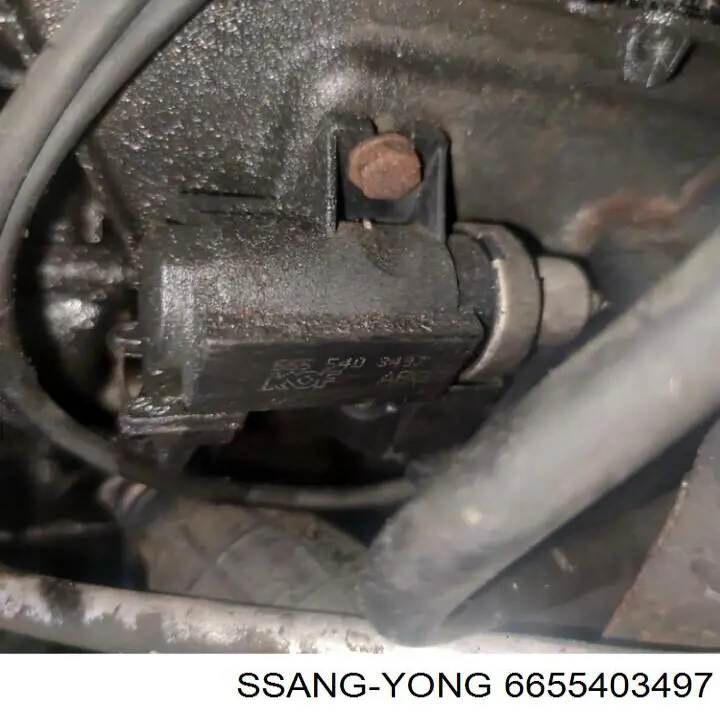 Válvula de solenoide de control de mariposa EGR Ssang Yong 6655403497 precio, desde 50,82 EUR