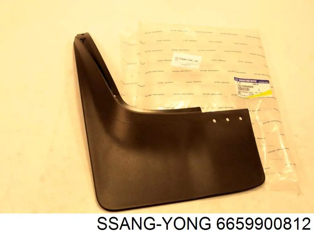 6659900812 Ssang Yong 