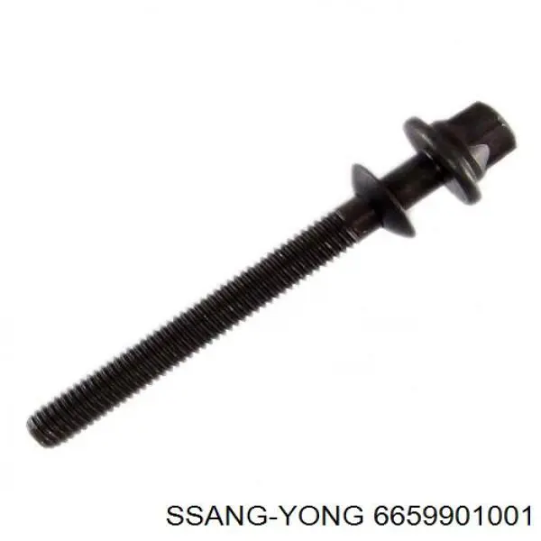 Tornillo de fijación del inyector Ssang Yong 6659900201 precio, desde 7,99 EUR