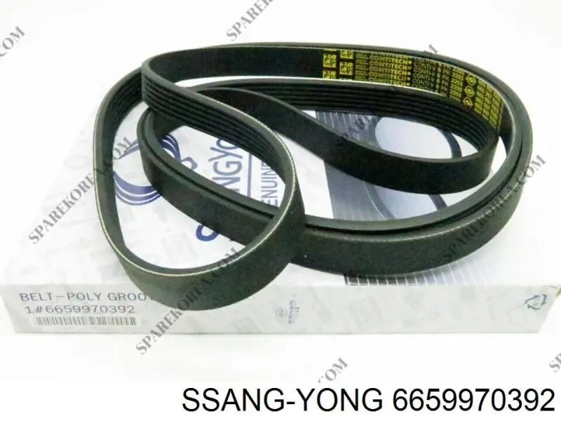 Comprar 6659970392 Ssang Yong Correa trapezoidal