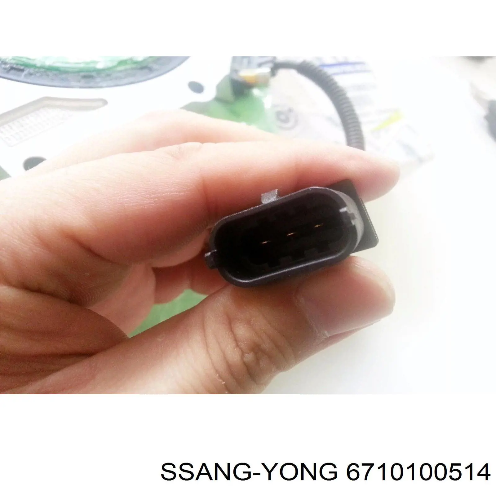 Retén del cigüeñal Ssang Yong 6710100514 precio, desde 77,26 EUR
