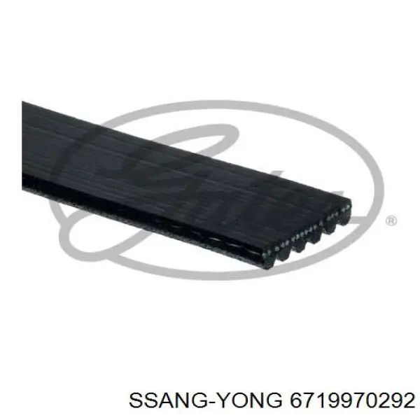 6719970292 Ssang Yong correa trapezoidal