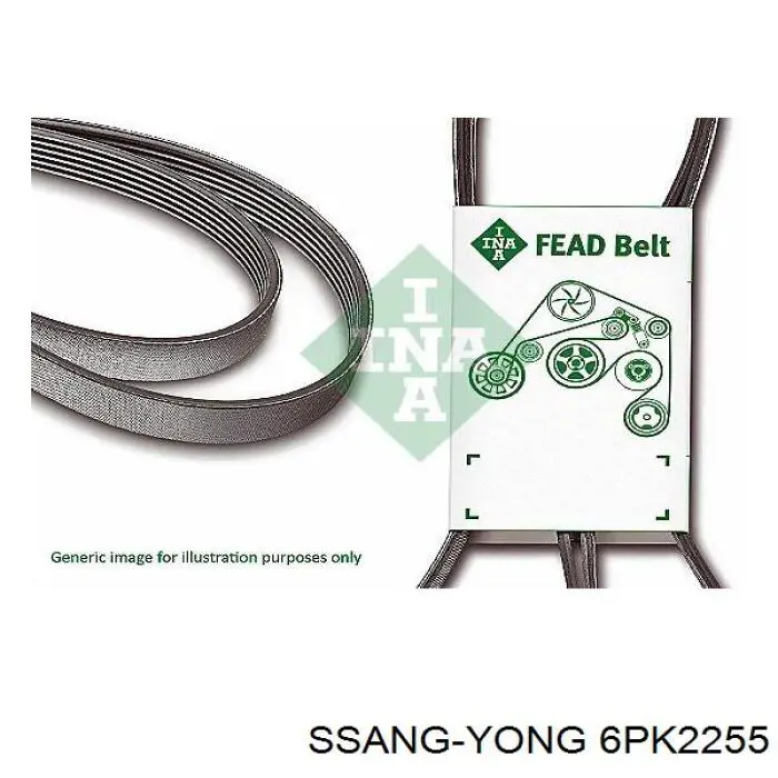 6PK2255 Ssang Yong correa trapezoidal