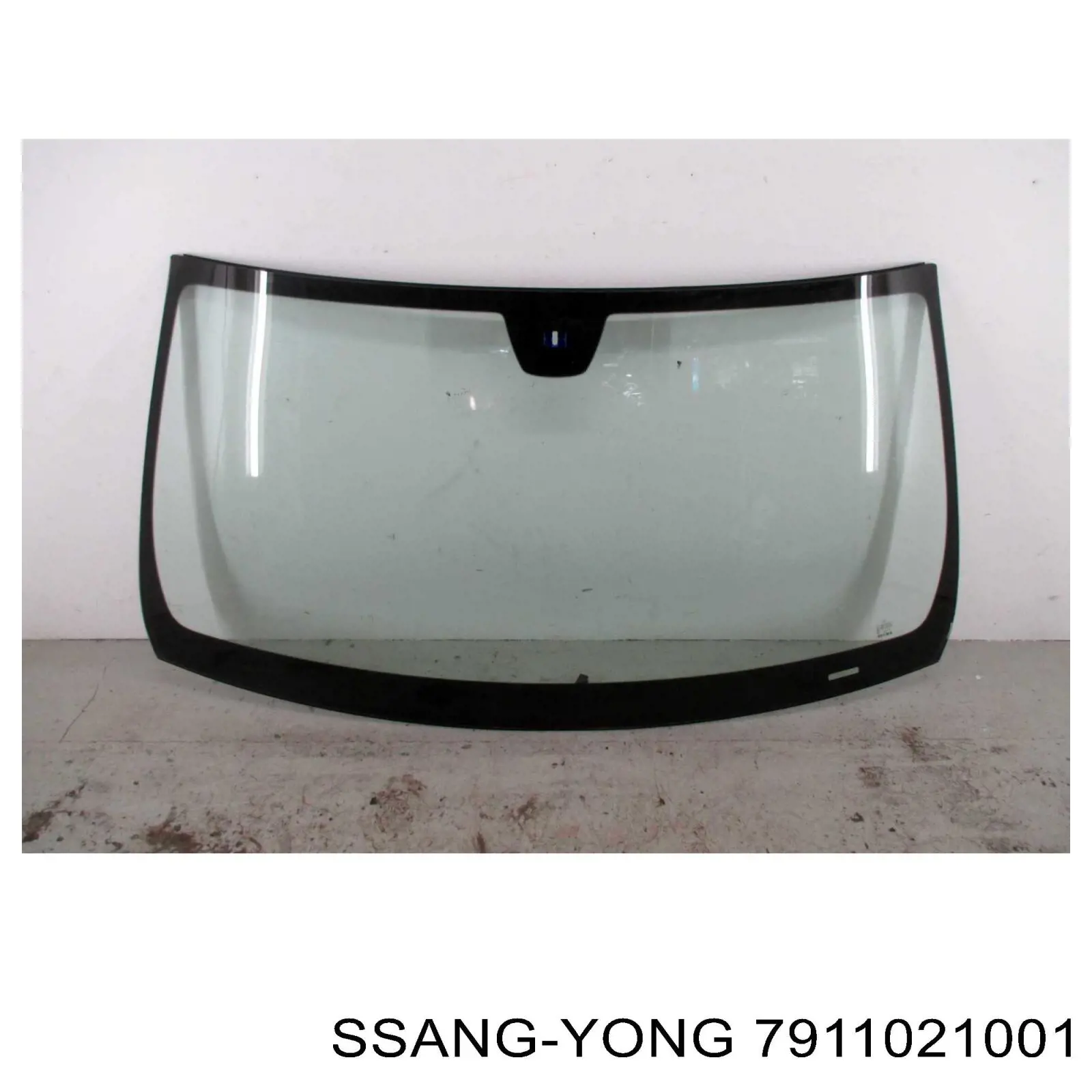 7911021001 Ssang Yong parabrisas