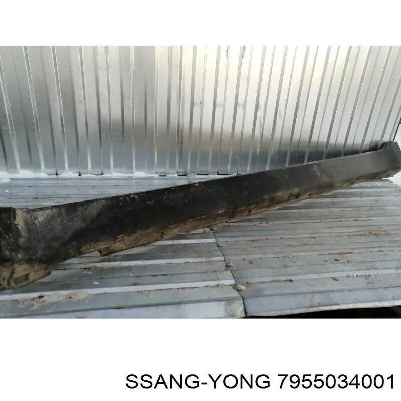 Moldura exterior izquierda del umbral Ssang Yong 7955034001 precio, desde 166,98 EUR