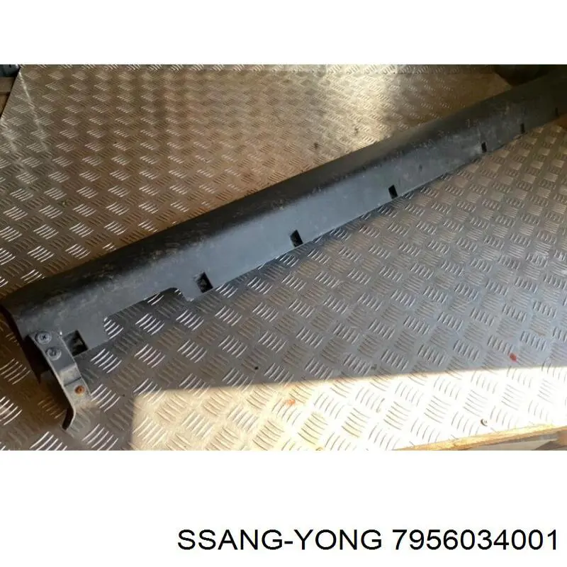 Moldura exterior derecha del umbral Ssang Yong 7956034001 precio, desde 230,46 EUR