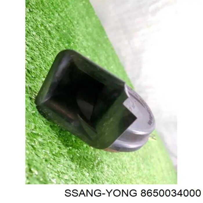 8650034000 Ssang Yong