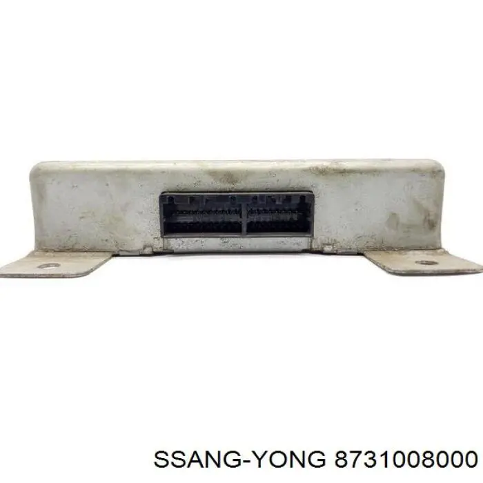 8731008000 Ssang Yong