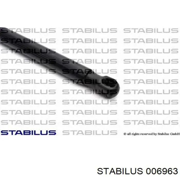 Amortiguador de vidrio de portón trasero (puerta trasera 3/5) 006963 Stabilus