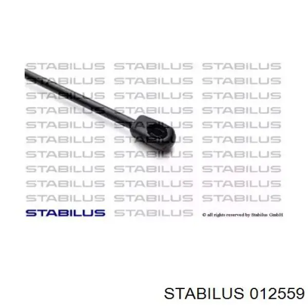 Comprar 012559 Stabilus Amortiguador de puerta trasera