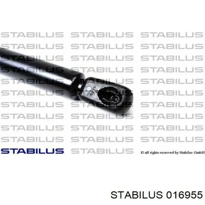 Comprar 1C0823359D VAG Amortiguador de capó