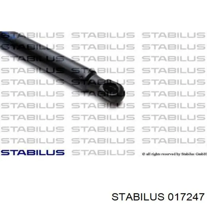 Muelle neumatico maletero VAG 6Y5827550A