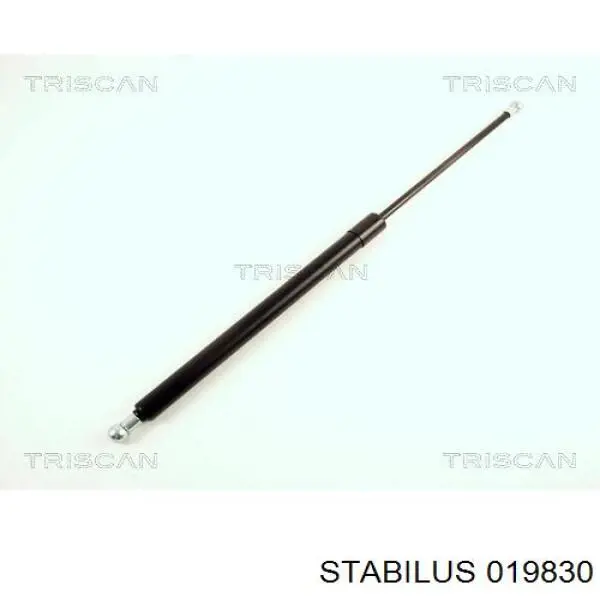 019830 Stabilus Amortiguador de porton