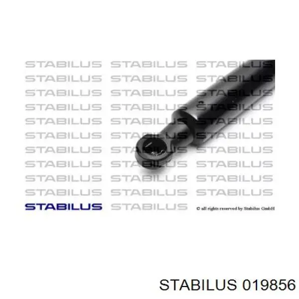 019856 Stabilus amortiguador de maletero