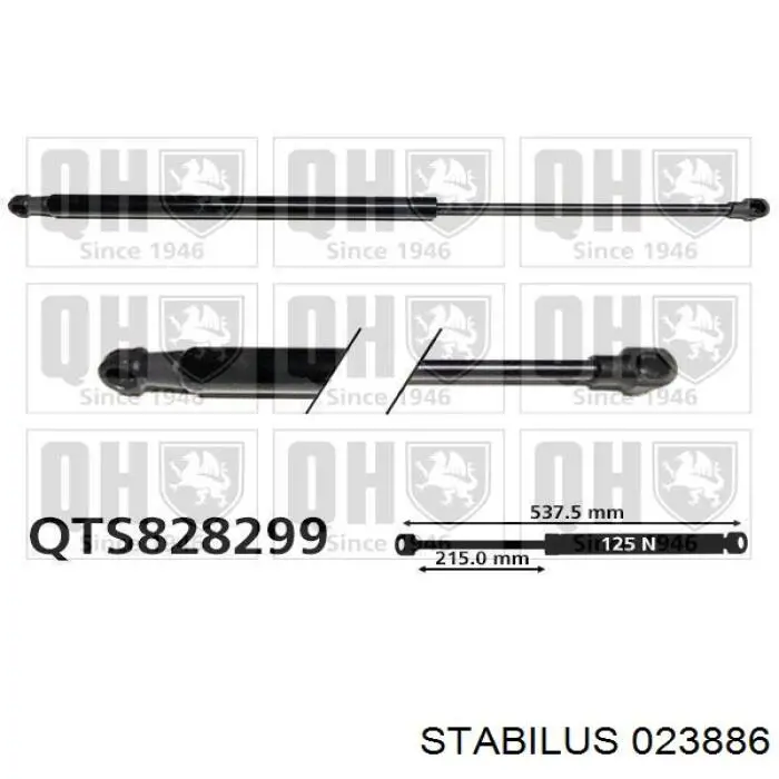 Amortiguador maletero 023886 Stabilus