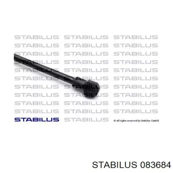 Muelle neumatico maletero Vika 88271795901