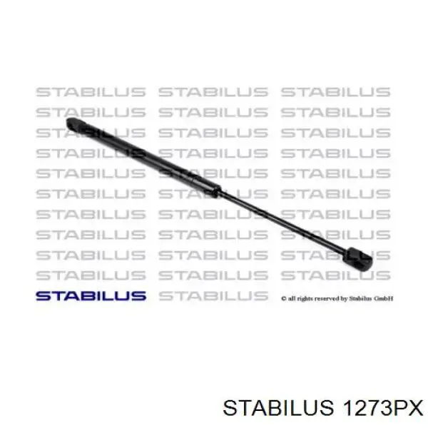 Comprar 1273PX Stabilus Amortiguador de vidrio de portón trasero (puerta trasera 3/5)