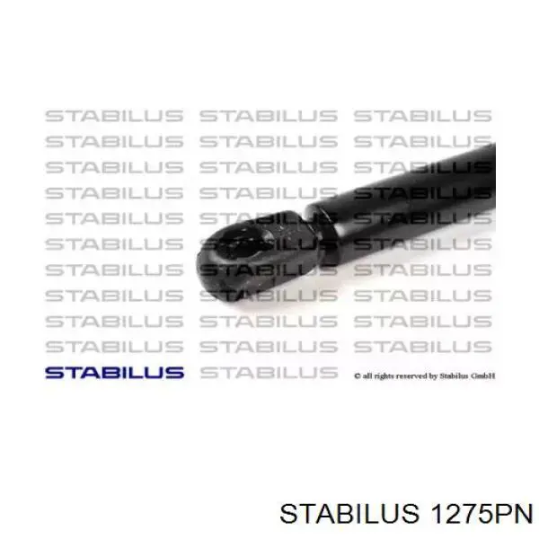 1275PN Stabilus amortiguador de maletero