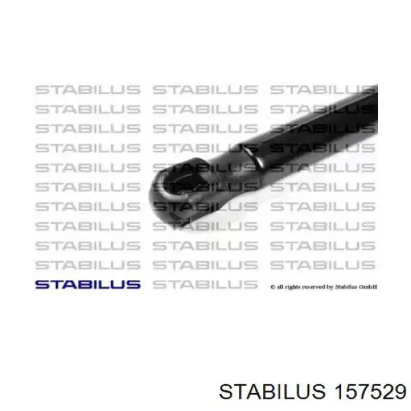 157529 Stabilus