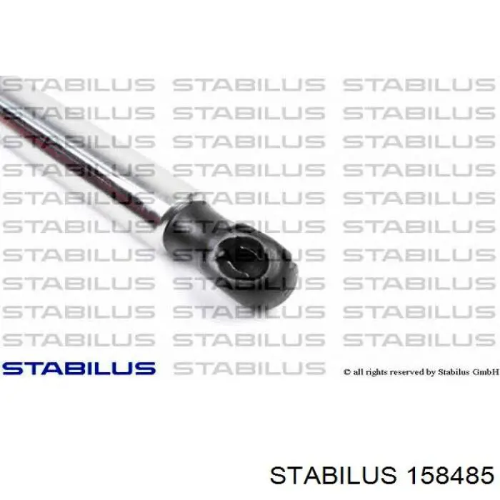 Muelle neumático de capó de motor Renault (RVI) 654702253R