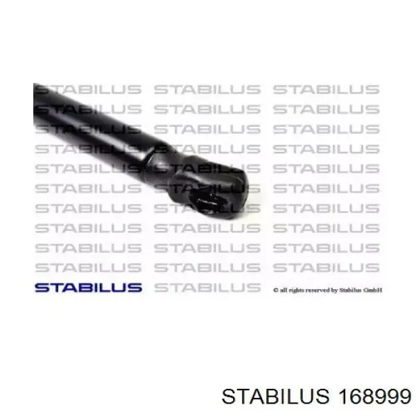 168999 Stabilus