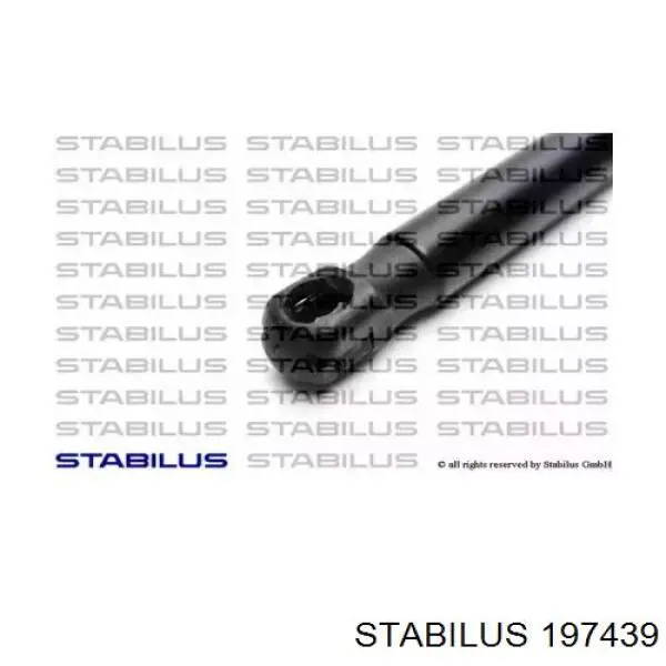 197439 Stabilus