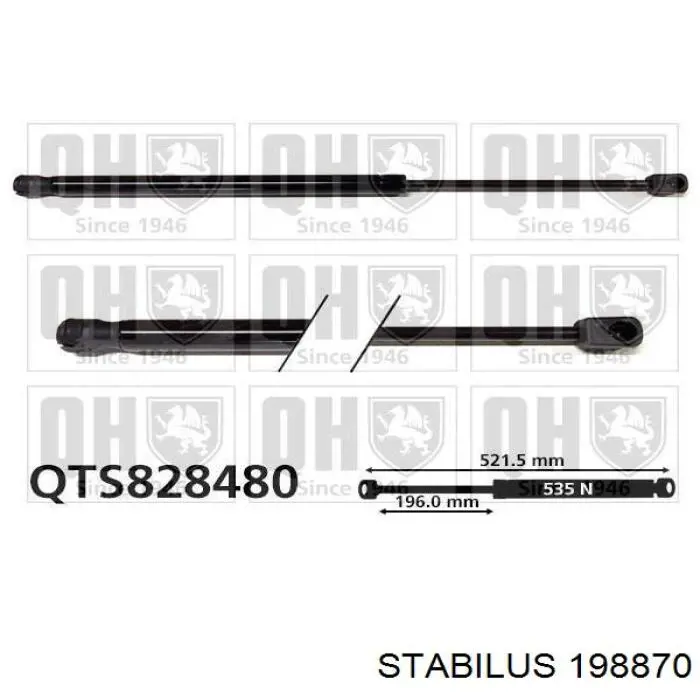 Amortiguador maletero 198870 Stabilus