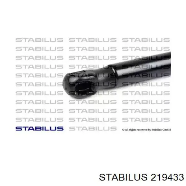 219433 Stabilus