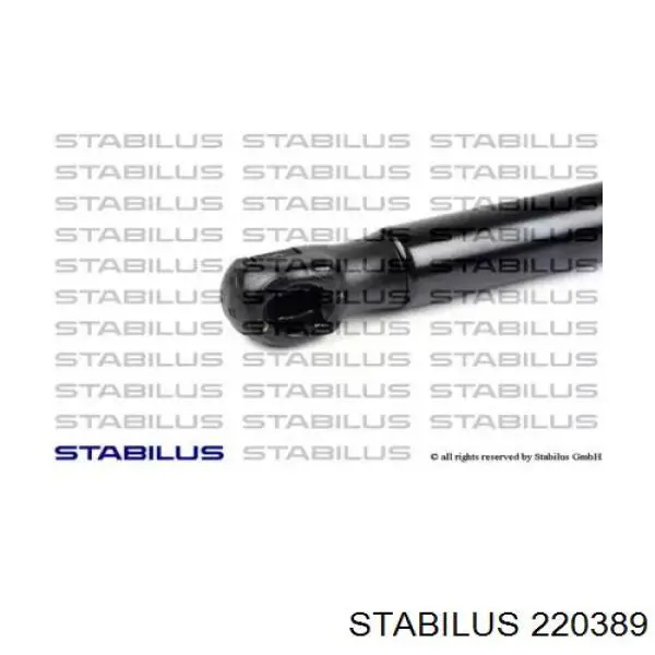 220389 Stabilus