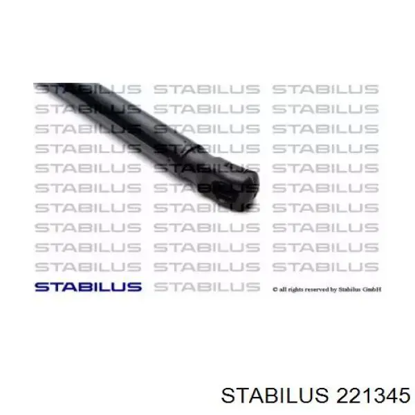 221345 Stabilus