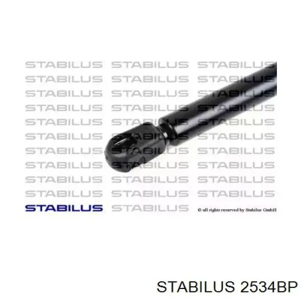 2534BP Stabilus