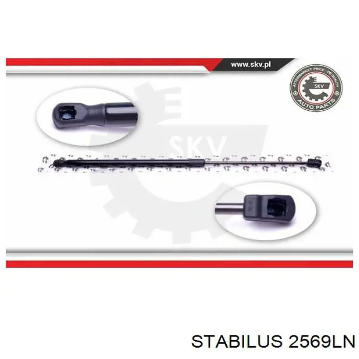 Amortiguador de maletero Stabilus 2569LN precio, desde 12,52 EUR