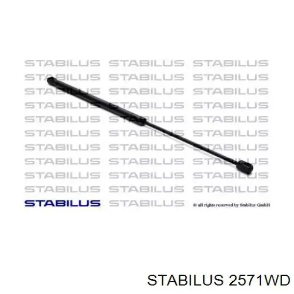 2571WD Stabilus