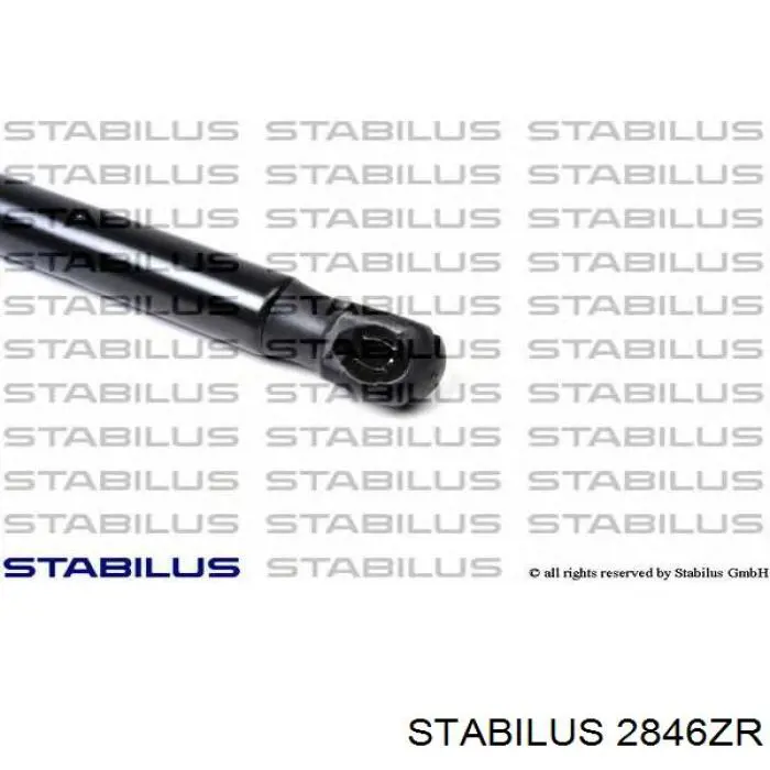 Amortiguador de maletero Stabilus 2846ZR precio, desde 37,63 EUR