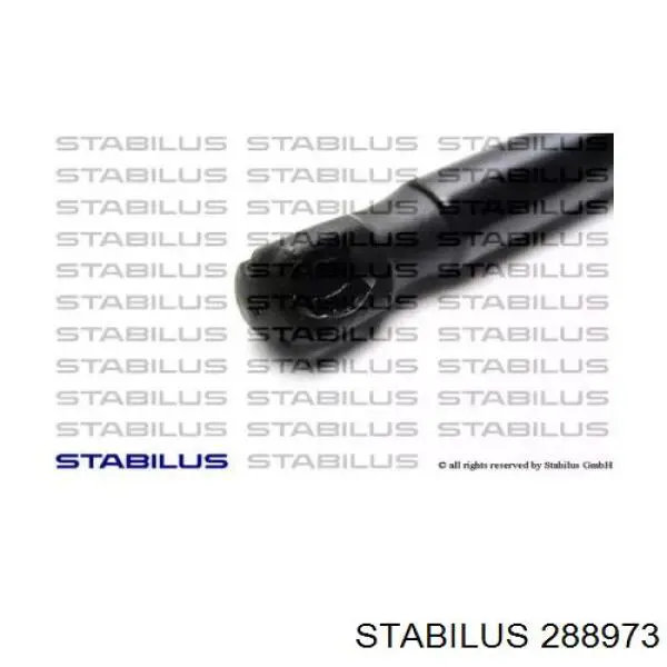 Comprar 288973 Stabilus Amortiguador de puerta trasera