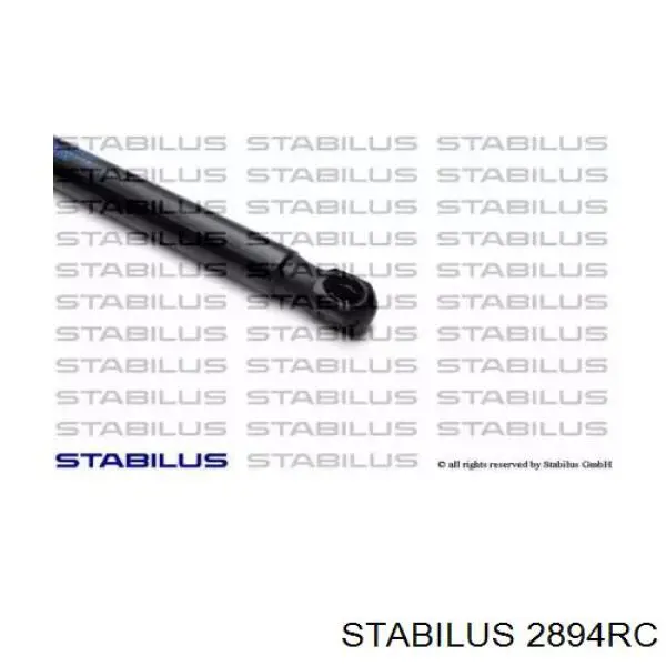 2894RC Stabilus amortiguador de maletero