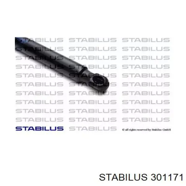 301171 Stabilus