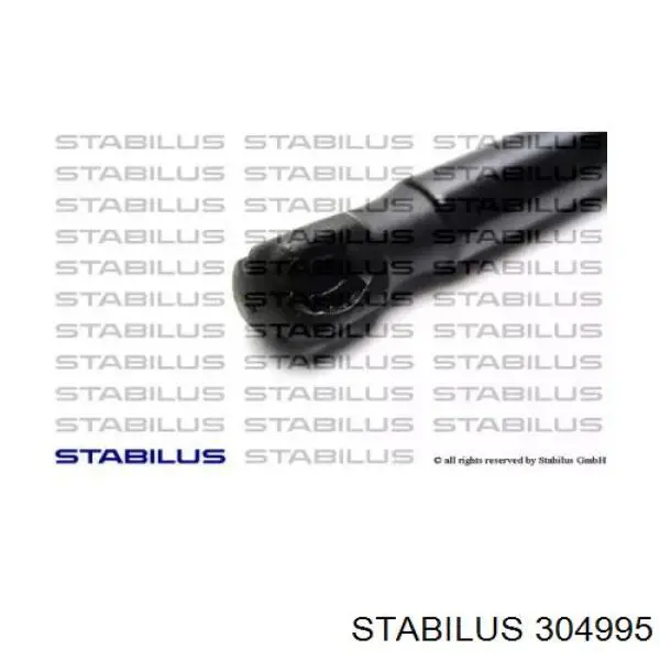 304995 Stabilus