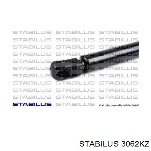 3062KZ Stabilus amortiguador de maletero