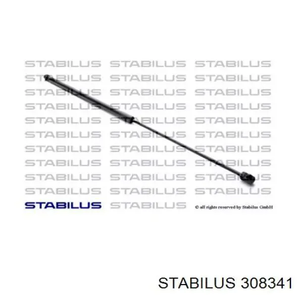 308341 Stabilus