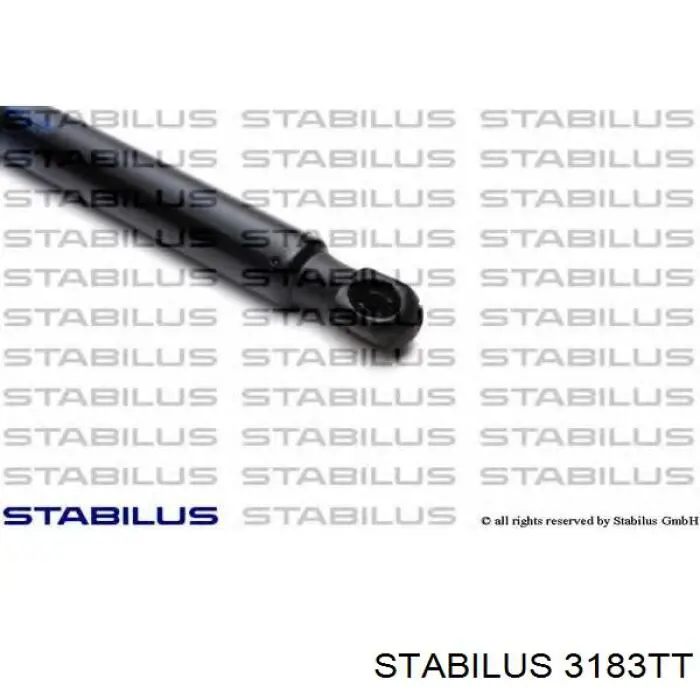 Comprar GSR607800 Open Parts Amortiguador de puerta trasera