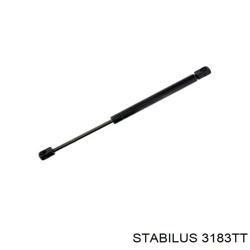 Amortiguador maletero GSR607800 Open Parts